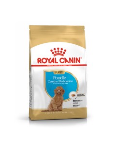 Royal Canin Poodle Puppy 3kg