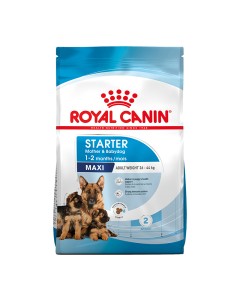 Royal Canin Maxi Starter 4kg