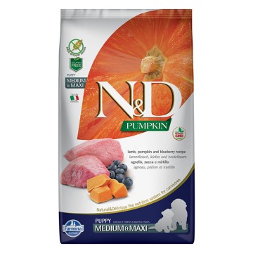 N&D Pumpkin Dog Puppy Medium-Maxi με Αρνί, Κολοκύθα & Μύρτιλο 12kg