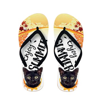 PLENTY GIFTS ΣΑΓΙΟΝΑΡΕΣ FLIP FLOPS BLACK Νο 40-42
