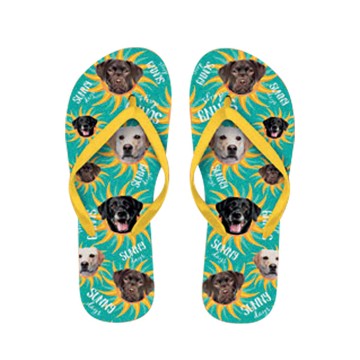 x PLENTY GIFTS ΣΑΓΙΟΝΑΡΕΣ FLIP FLOPS LABRADOR Νο 40-42
