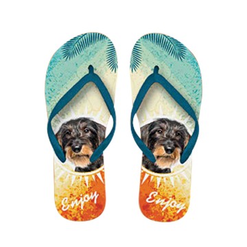 x PLENTY GIFTS ΣΑΓΙΟΝΑΡΕΣ FLIP FLOPS DACHSHUND  Νο 40-42