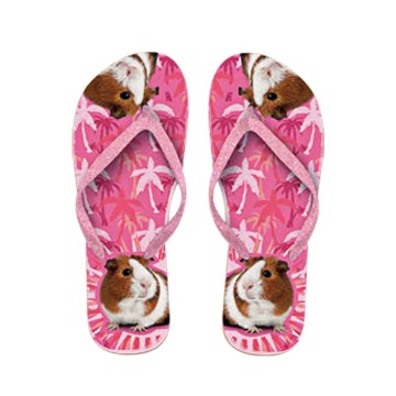 x PLENTY GIFTS ΣΑΓΙΟΝΑΡΕΣ FLIP FLOPS GUINEA PIG  Νο 37-39