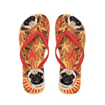 x PLENTY GIFTS ΣΑΓΙΟΝΑΡΕΣ FLIP FLOPS PUG  Νο 37-39