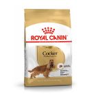 Royal Canin Cocker Adult 3kg