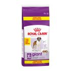 Royal Canin Giant Adult 15kg+3kg Δώρο