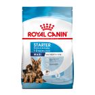 Royal Canin Maxi Starter 4kg