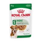 Royal Canin Shn Mini Ageing 85gr
