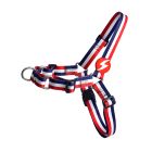 Dashi Σαμαράκι Σκύλου Stripes Red & Blue M 34-41cm