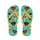 x PLENTY GIFTS ΣΑΓΙΟΝΑΡΕΣ FLIP FLOPS LABRADOR Νο 37-39