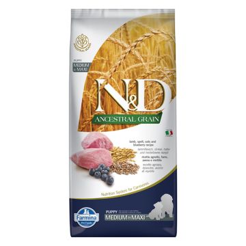 N&D Ancestral Dog Puppy Medium-Maxi με Αρνί & Μύρτιλο 12kg