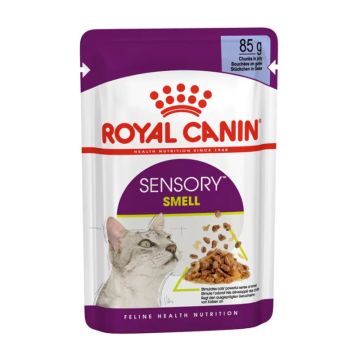 Royal Canin Sensory Smell σε Ζελέ 85gr