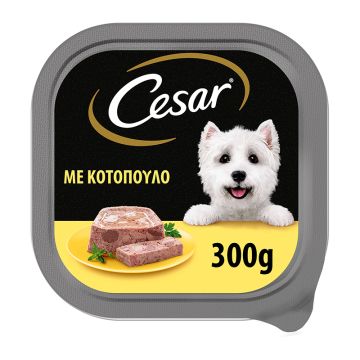 Cesar Κοτόπουλο 300gr