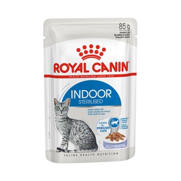 Royal Canin Indoor Jelly 85gr