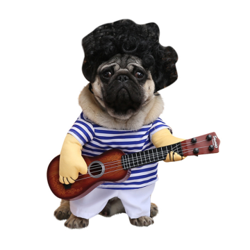 Pet Αποκριάτικη Στολή Μουσικός L 34cm