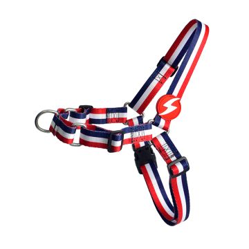 Dashi Σαμαράκι Σκύλου Stripes Red & Blue M 34-41cm