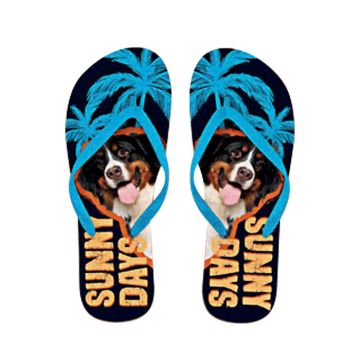 x PLENTY GIFTS ΣΑΓΙΟΝΑΡΕΣ FLIP FLOPS BERNESE MOUNTAIN  Νο 40-42