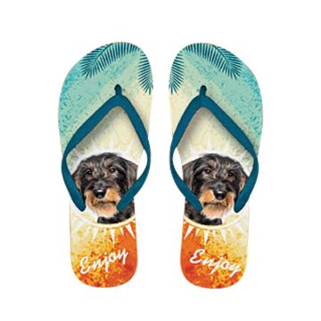 x PLENTY GIFTS ΣΑΓΙΟΝΑΡΕΣ FLIP FLOPS DACHSHUND  Νο 40-42