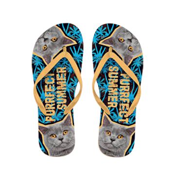 x PLENTY GIFTS ΣΑΓΙΟΝΑΡΕΣ FLIP FLOPS BRITISH SHORTHAIR  Νο 37-39
