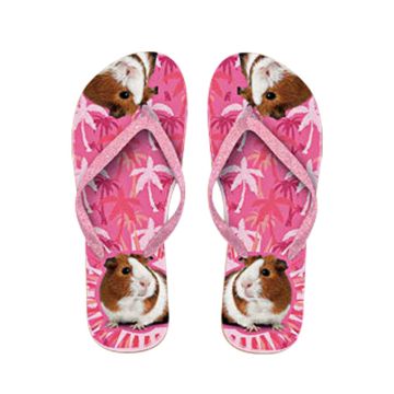 x PLENTY GIFTS ΣΑΓΙΟΝΑΡΕΣ FLIP FLOPS GUINEA PIG  Νο 34-36