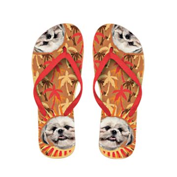 x PLENTY GIFTS ΣΑΓΙΟΝΑΡΕΣ FLIP FLOPS SHIH TZU Νο 40-42