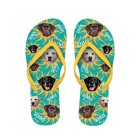 x PLENTY GIFTS ΣΑΓΙΟΝΑΡΕΣ FLIP FLOPS LABRADOR Νο 40-42