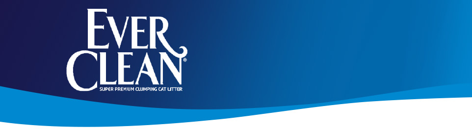 Everclean Everclean